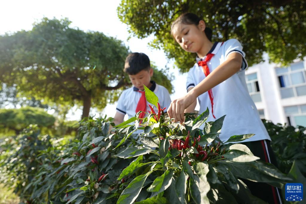 白羊座今日运势